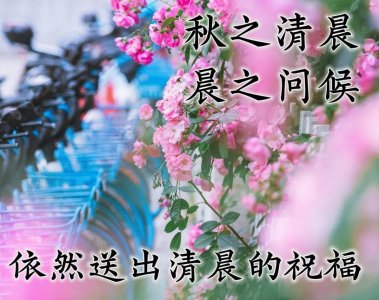 ​美好的早上好动态祝福图片 朋友间问候的动态表情包