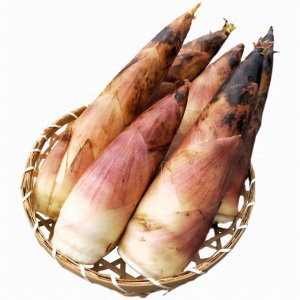 ​阳春三月，6种时令春菜别错过，鲜嫩营养，应季而食健康过春天