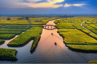 ​“国字号”为何青睐江苏兴化？