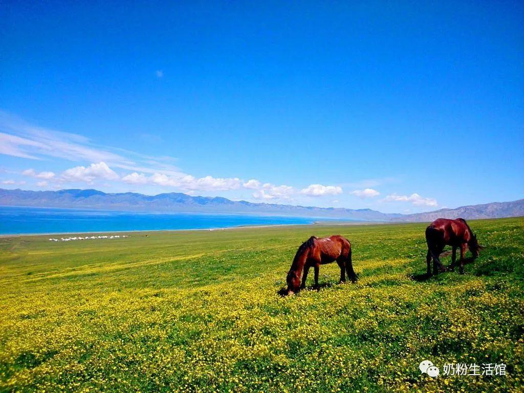 新疆气候类型及特征(新疆是什么气候)