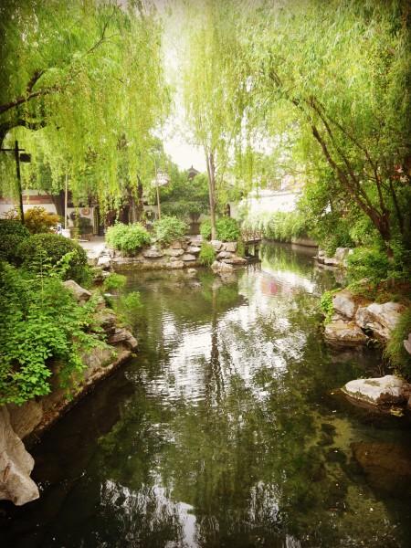 第一天：趵突泉