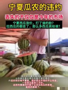 ​宁夏西瓜涨价，打了谁的脸？买西瓜的全跑了，那么多西瓜卖给谁？