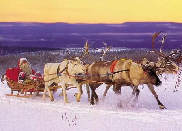 圣诞节去哪里？这个清新质朴的圣诞老人村，给你别样的异国风情