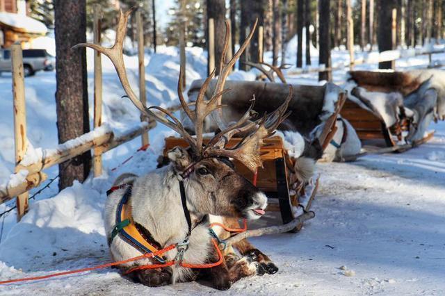圣诞节去哪里？这个清新质朴的圣诞老人村，给你别样的异国风情