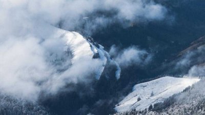 ​生而为人，我很抱歉？