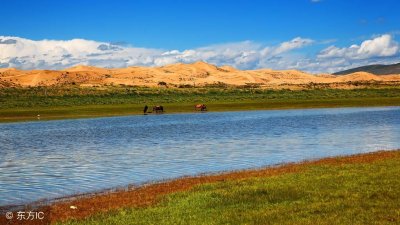 ​可可西里的美丽传说