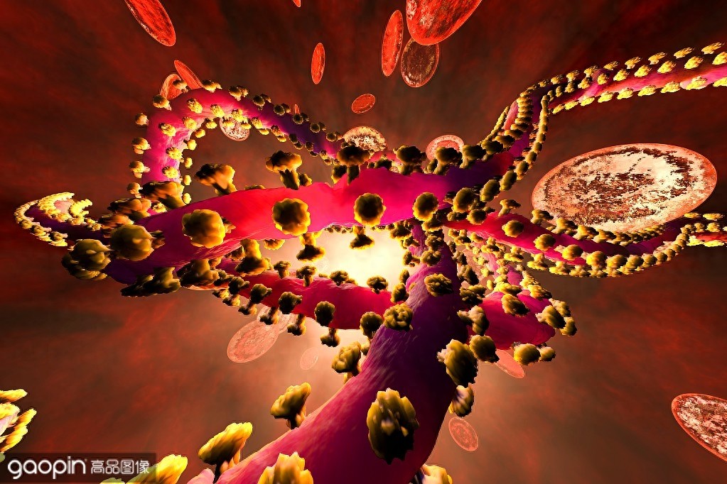 形似“如意”，却杀人于无形，探索你不知道的病毒秘密