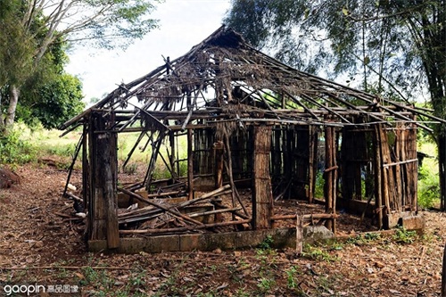 形似“如意”，却杀人于无形，探索你不知道的病毒秘密