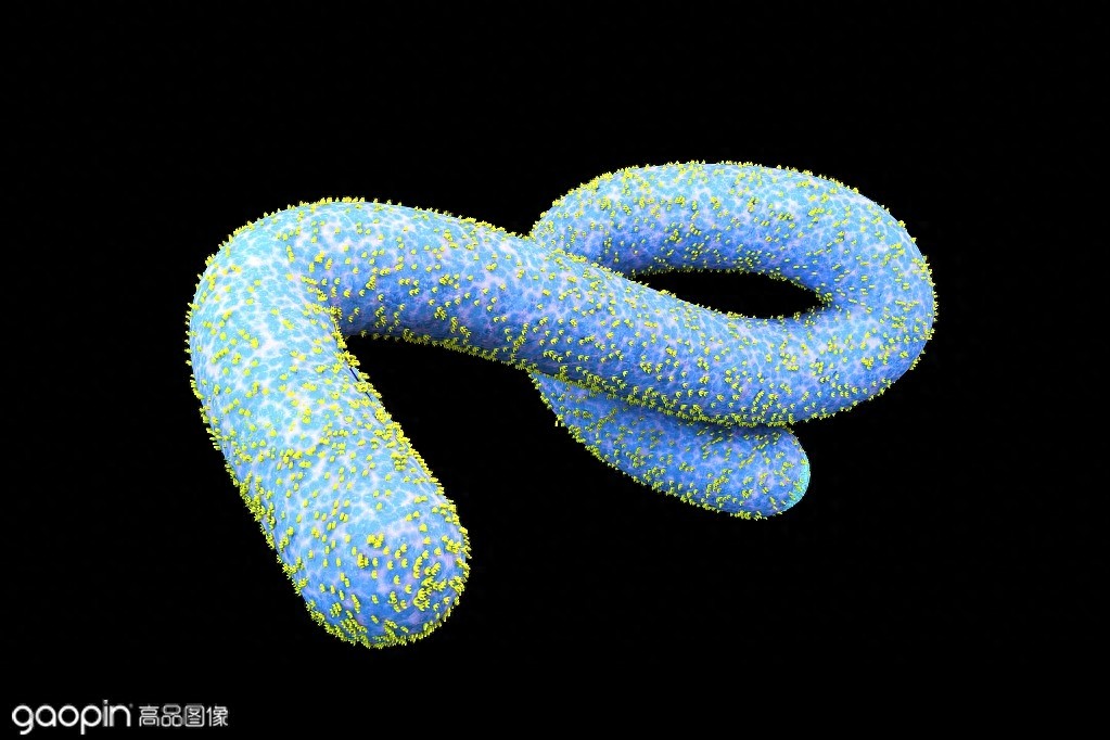 形似“如意”，却杀人于无形，探索你不知道的病毒秘密