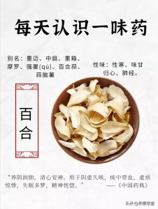 ​每天认识一味中药：百合