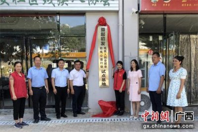 ​百色田林残疾人创业就业试点基地揭牌