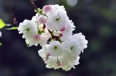 ​心里想不开怎么办（想不开怎么办）