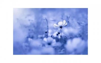 ​女朋友生日送什么礼物好1000左右(女朋友生日发多少红包)