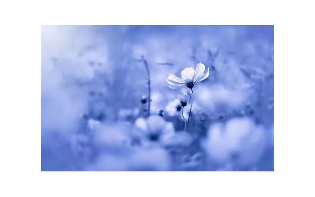 女朋友生日送什么礼物好1000左右(女朋友生日发多少红包)