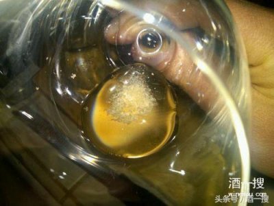​红酒沉淀好还是不沉淀好(红酒是有沉淀好还是没沉淀好)