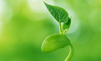 ​12星座几岁最聪明 12星座中什么星座最聪明