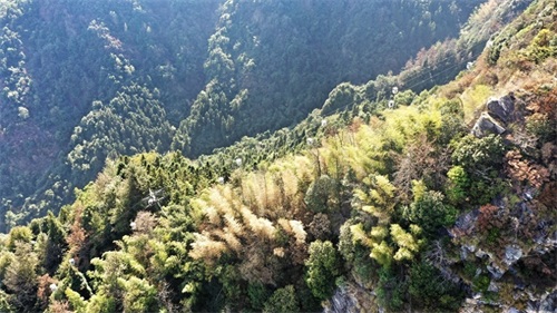 美庐曾作蒋介石的夏都官邸，是当年“第一夫人”宋美龄生活的房子