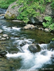 ​裴多菲：《我愿意是激流》