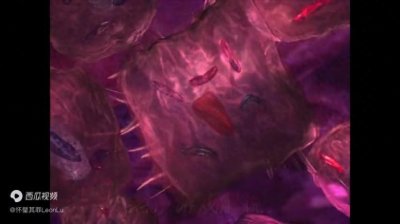 ​PS1 寄生前夜 1 汉化版+修改器+模拟器 整合包 解压即玩