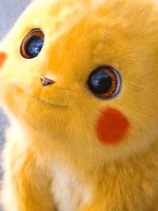 ​皮卡丘是什么动物（皮卡丘的原型）