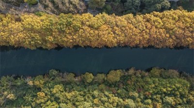 ​（环境）贵阳：黄金大道秋景美