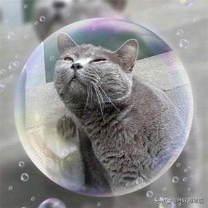 ​人们说的＂二百五＂ ，那么你知道它的来历吗