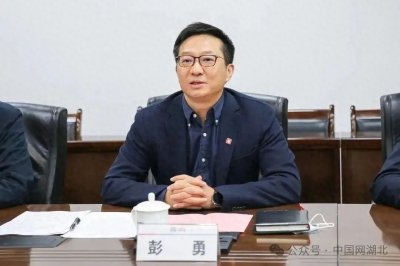 ​彭勇任湖北省副省长（图｜简历）