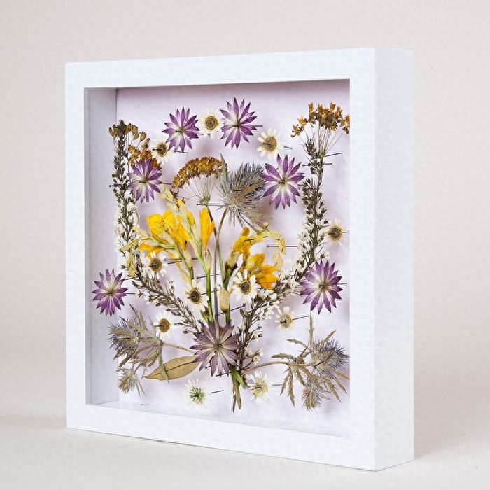 简单的压花艺术，将盛开的花朵制成一幅幅精美的装饰画