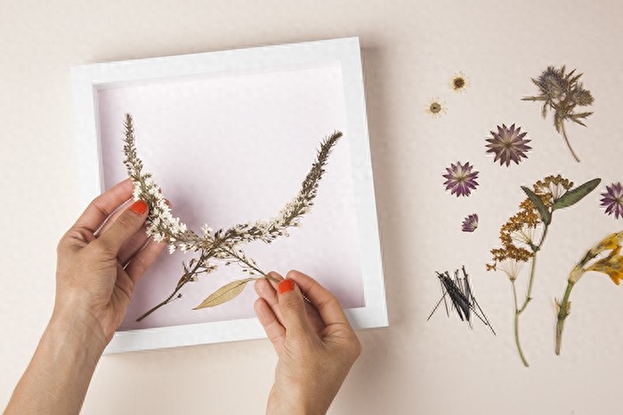 简单的压花艺术，将盛开的花朵制成一幅幅精美的装饰画