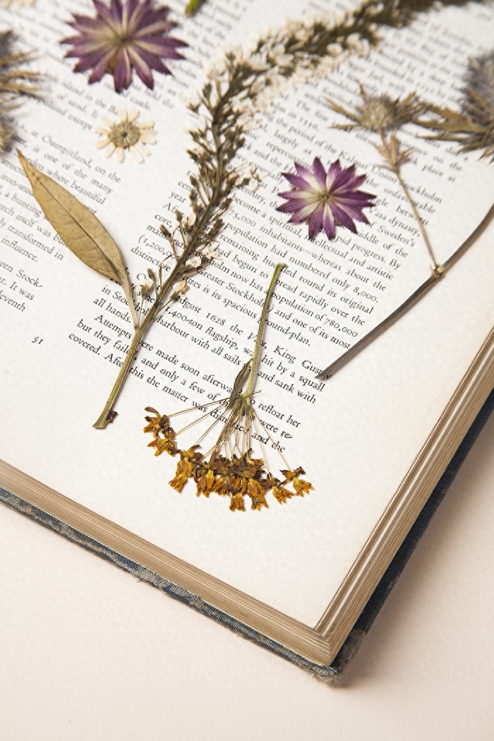 简单的压花艺术，将盛开的花朵制成一幅幅精美的装饰画