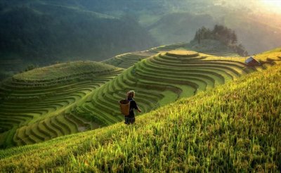 ​三百六十行，行行出状元，360行到底是指哪些行业？