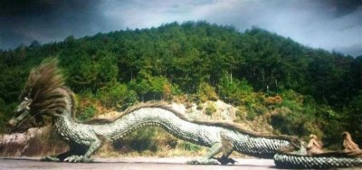 ​龙真的存在吗？当年轰动一时的“营口坠龙”，到底是怎么一回事？