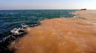 ​山西黄河现庞大巨龟：史上最神秘生物引热议！