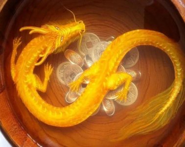 ​良辰美景指什么生肖，答案来了，是生肖龙