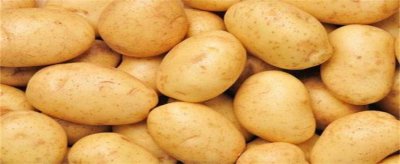 ​土豆轻微发芽能吃 微微发芽的土豆可以吃吗