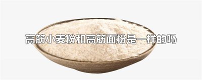 ​高筋小麦粉和高筋面粉是一样的吗