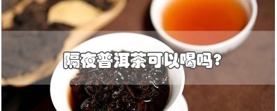 ​隔夜普洱茶可以喝吗?