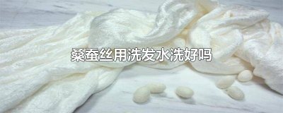 ​蚕丝衣服用洗发水洗吗 蚕丝用洗发水洗会缩水吗为什么