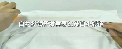 ​白衬衫领子黄了用什么办法洗 白衬衫领子发黄怎么清洗掉