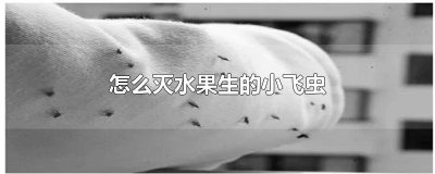 ​怎样处理水果生的小飞虫 如何灭水果上的小飞虫