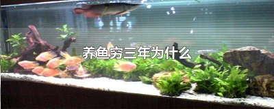 ​养鱼穷三年为什么