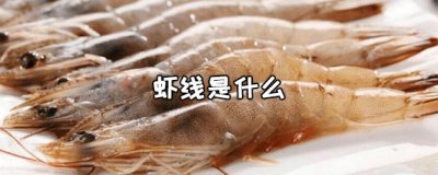 ​虾线是什么 虾线吃了会有什么影响