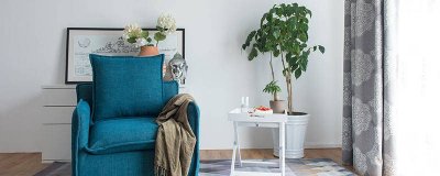 ​家里好多千足虫怎么去除 家里有千足虫怎么办,又不知道从哪跑出来的