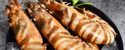 ​九节虾为什么那么贵