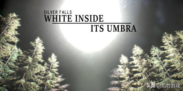 wiiu有哪些独占游戏（平台的绝唱一款Wii）(1)