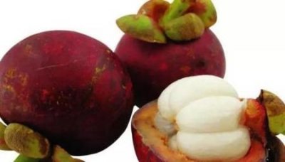 ​山竹的营养价值及功效与禁忌(山竹的功效与作用禁忌及食用方法)