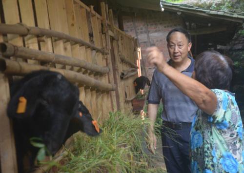 现在农村有哪些可以致富的项目（农村可以致富的几个项目）(2)