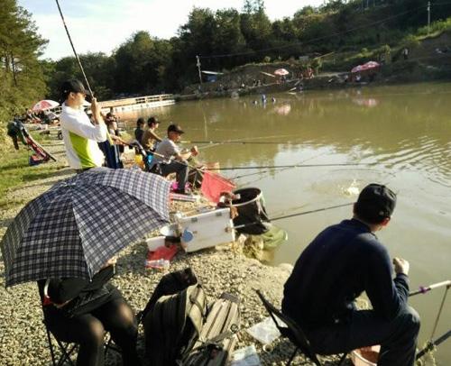 现在农村有哪些可以致富的项目（农村可以致富的几个项目）(3)