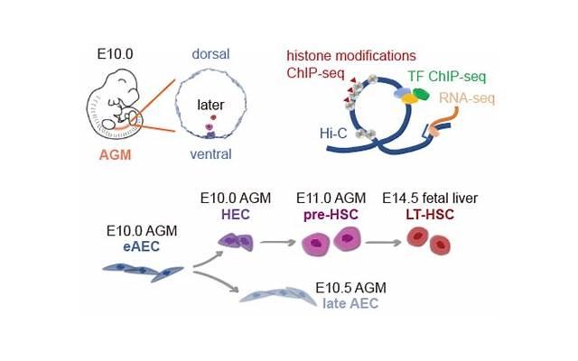 男生追你太心急的表现，被男生追多久可以答应？