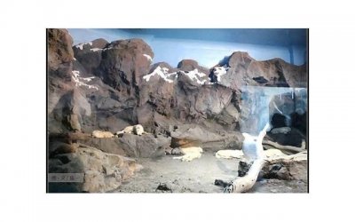 ​如何用陌陌泡妞之表白被拒怎么继续?